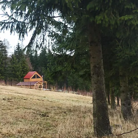 Cisza & Natura - Kraina Wygaslych Wulkanow